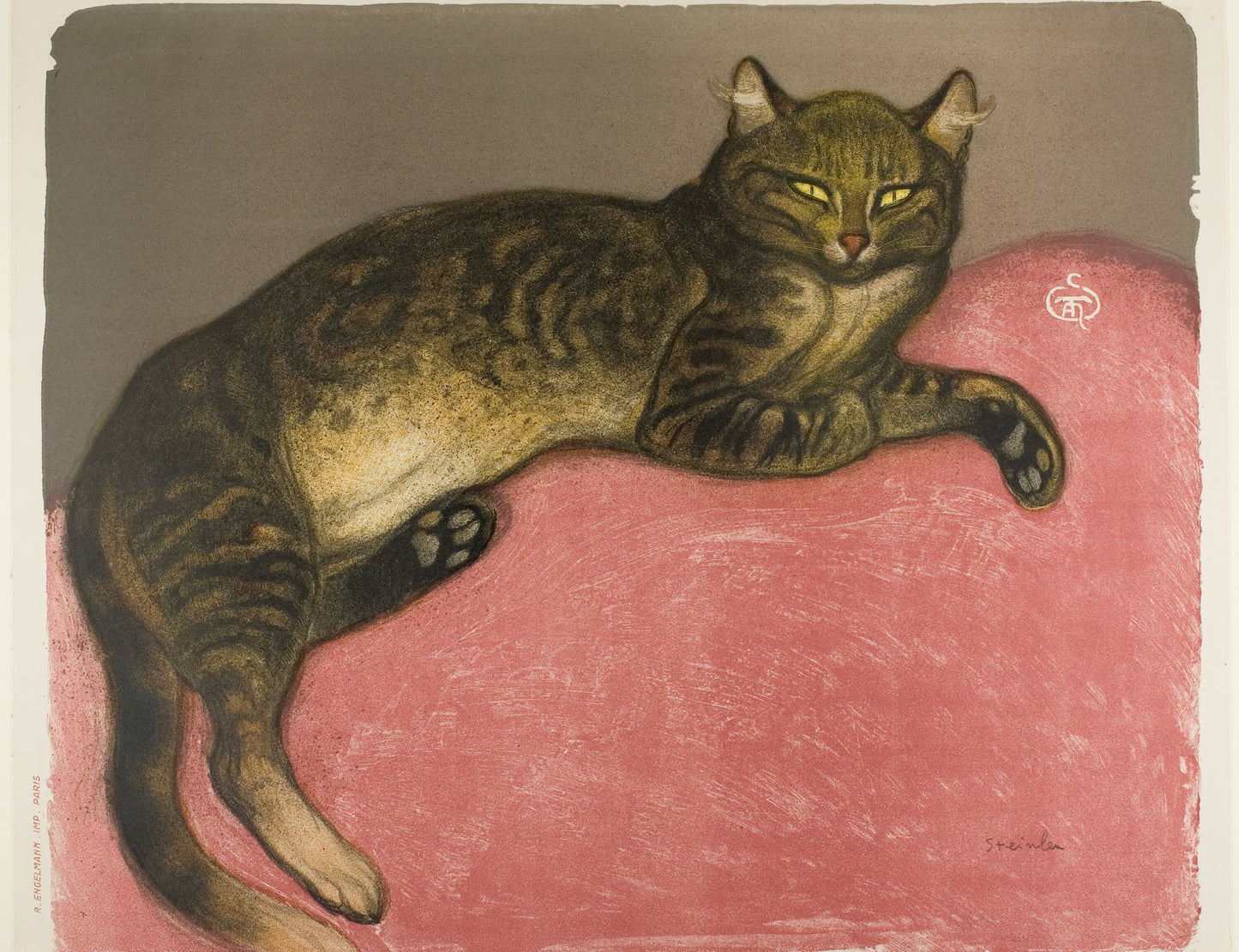Illustration of a cat lying on a pink surface with a brown background
