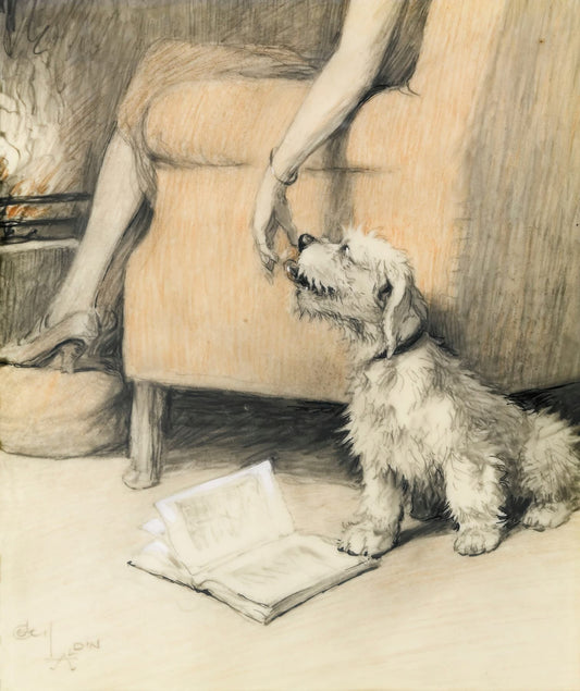 Dog sitting on the floor with a book and a person's hand reaching out in a classical setting.