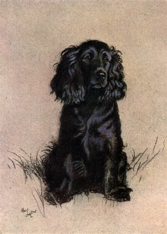 A vintage-style illustration of a black dog sitting on a beige background with sketchy grass details.