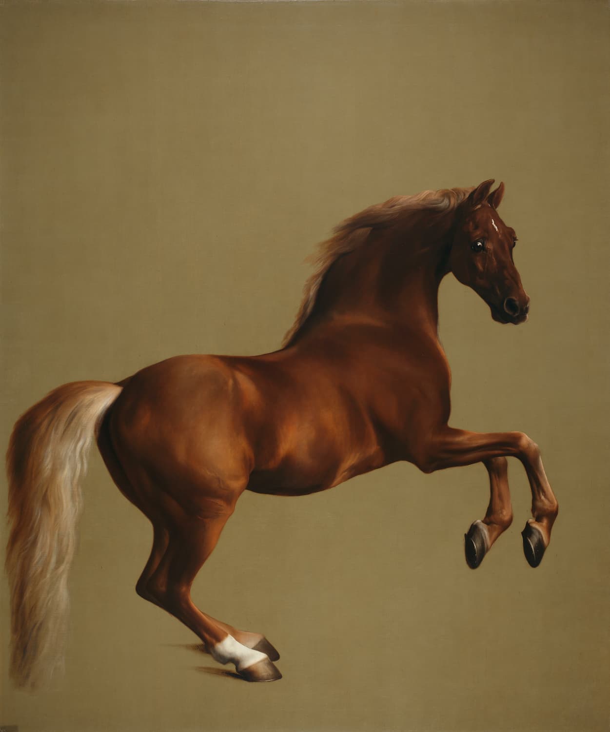 High-quality Giclée reproduction of George Stubbs's 1762 Whistlejacket, a life-sized portrait of a chestnut horse rearing on a plain, sepia-toned background, Sporting Art.