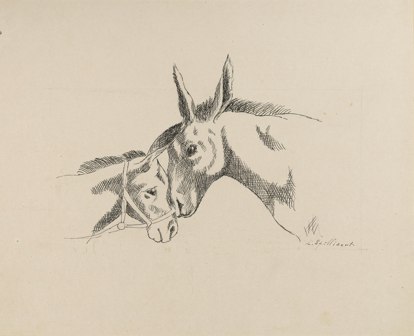 Doodle of two donkeys with a light brown background
