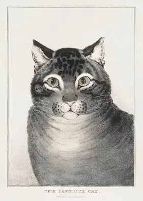 High quality Giclée reproduction of Nathaniel Currier's 1840s hand-colored lithograph "The Favorite Cat," a close-up portrait of a tabby cat.