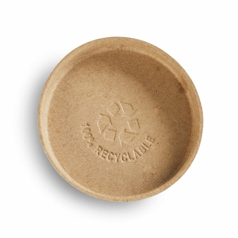 Recyclable brown paper plate on a white background