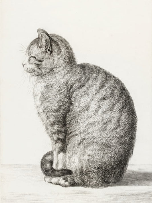 Vintage cat artwork | Jean Bernard | 1813 Antique Animal Sketch | Fine Art Giclée Reproduction for Animal Lovers