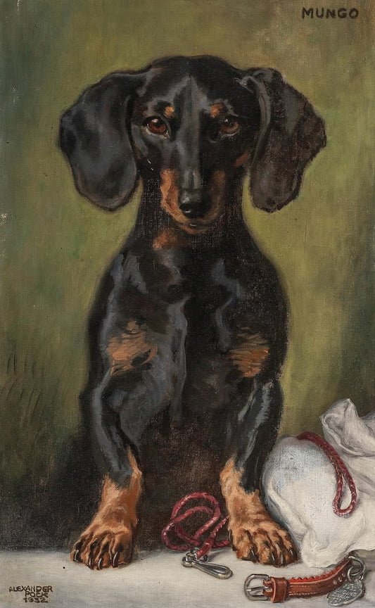 Teckel « Mungo » (années 1930) | imprimés de chiens vintage | Alexandre Pock