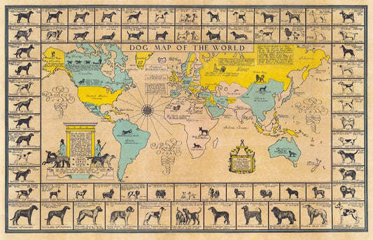 Vintage-style world map poster titled 'DOG MAP OF THE WORLD' with illustrated continents, dog silhouettes around the border, and many labeled dog species and historical notes on a tan parchment-like background.