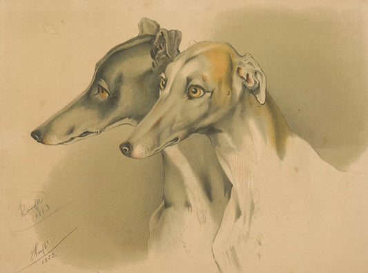Lévriers (années 1800) | Impressions murales de chiens vintage
