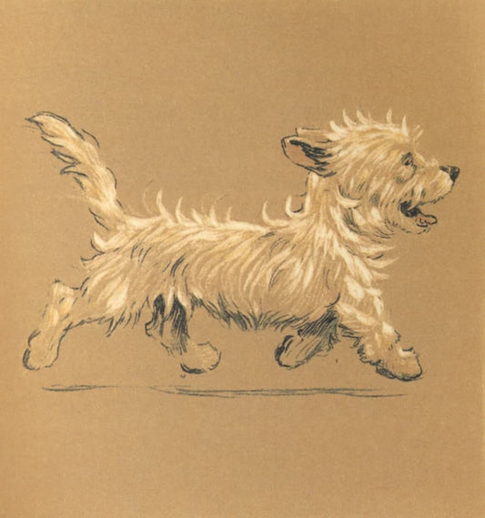 Westie print - Cecil Aldin (1912) Giclée Dog Portrait