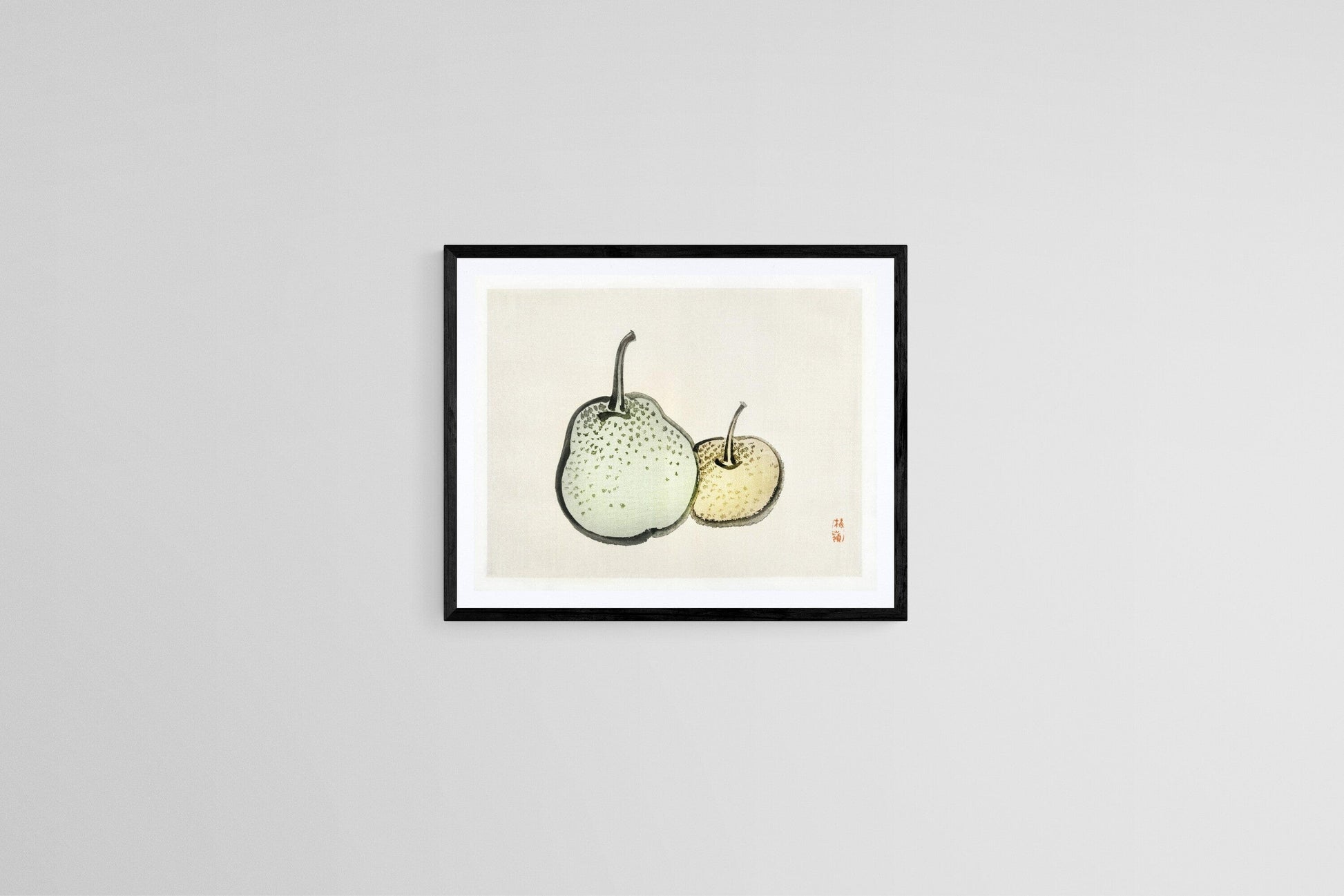 Asian pears (1800s) | Vintage pear prints | Kōno Bairei Posters, Prints, & Visual Artwork The Trumpet Shop   