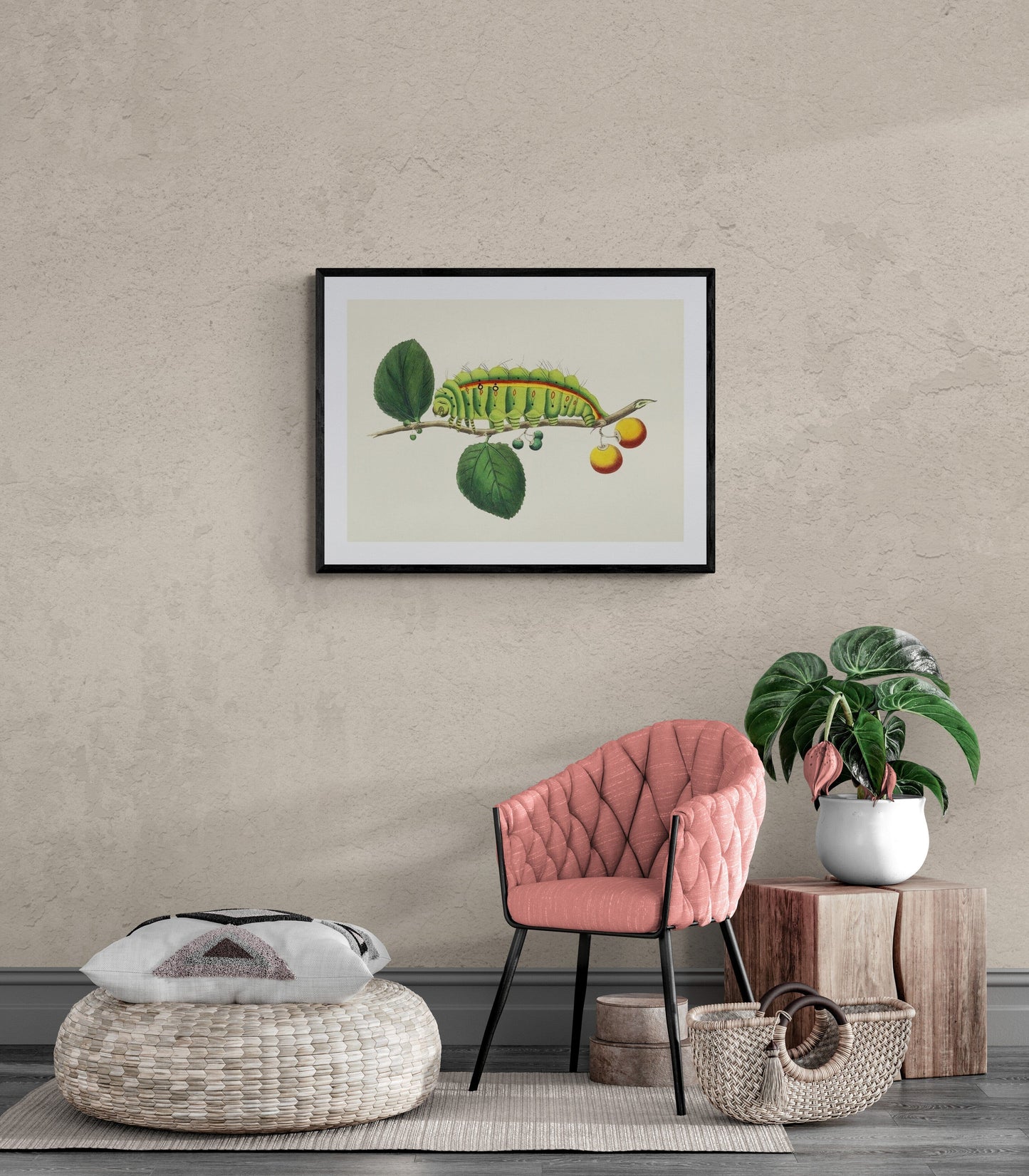 Caterpillar wall art print (c1800) | George Shaw Posters, Prints, & Visual Artwork The Trumpet Shop   