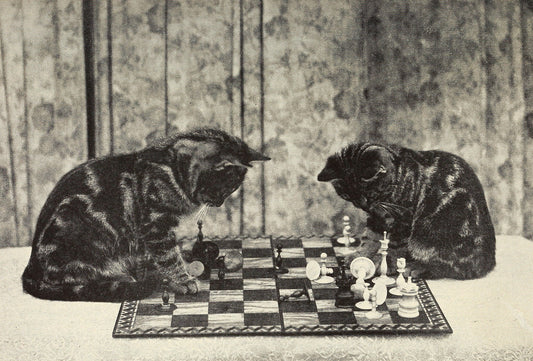 Kittens playing chess photograph (1920s) | Kitten wall art | Sarah J Eddy Posters, Prints, & Visual Artwork The Trumpet Shop   
