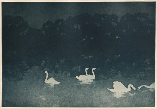 "Les Cygnes" (1890s) | Vintage swan prints | Francis Jourdain Posters, Prints, & Visual Artwork The Trumpet Shop   