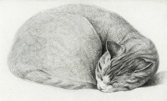 Sleeping cat (1800s) | Vintage Cat prints | Jean Bernard Posters, Prints, & Visual Artwork The Trumpet Shop   