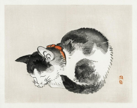 Sleeping cat (1800s) | Traditional Japanese cat art prints | Kōno Bairei Posters, Prints, & Visual Artwork The Trumpet Shop   