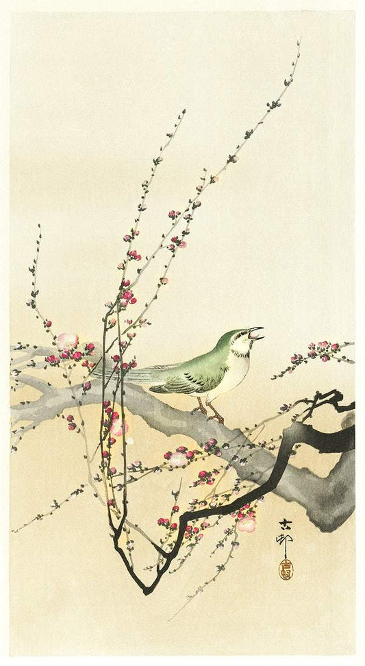 Songbird and plum blossom (1900s) | Songbird prints | Ohara Koson Posters, Prints, & Visual Artwork The Trumpet Shop   