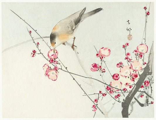 Songbird on blossom branch (1900s) | Songbird prints | Ohara Koson Posters, Prints, & Visual Artwork The Trumpet Shop   