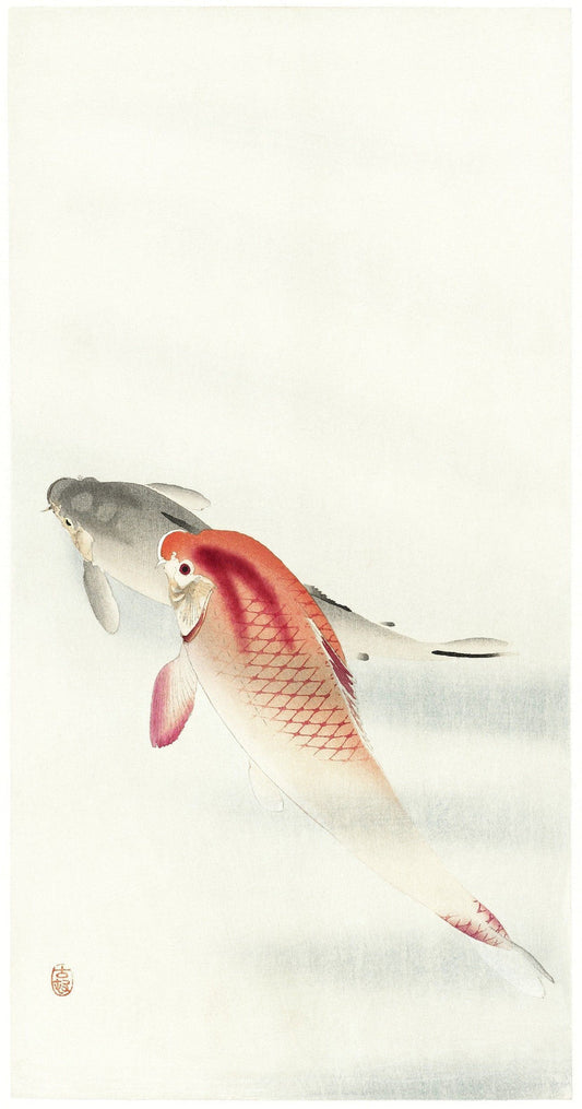 Japanese carp print (1900s) | Ohara Koson Posters, Prints, & Visual Artwork The Trumpet Shop   
