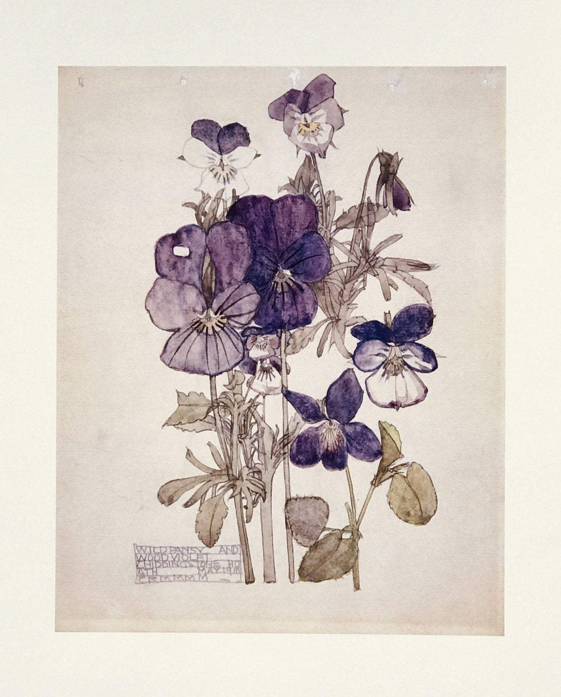 Charles Rennie Mackintosh: A Pioneer of Art Nouveau