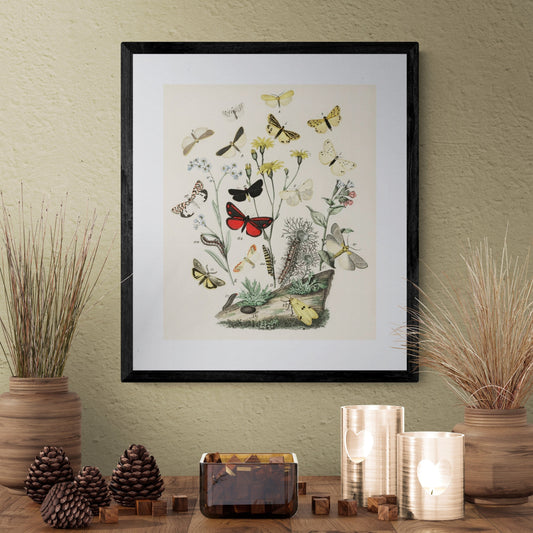 The Enduring Popularity of Butterfly Prints for Home Decor