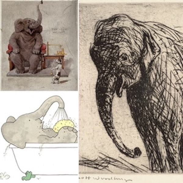 Vintage Elephant Prints & Safari Art. Features charming and varied elephant art, including a humorous cartoon, a detailed etching, and a playful illustration of an elephant bathing. Ideal for animal art collectors.