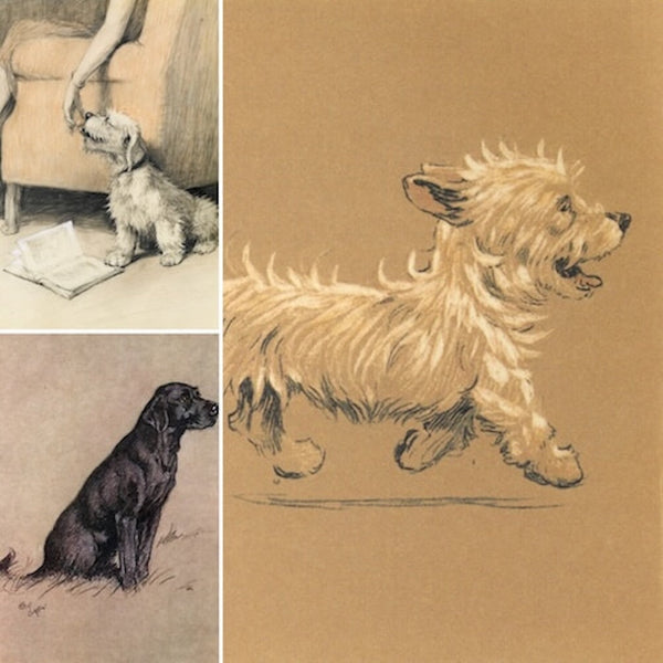 Cecil Aldin Dog Prints & Vintage Sporting Art. Features charming vintage dog illustrations: a terrier looking up at a person, a running scruffy dog, and a seated black Labrador. 