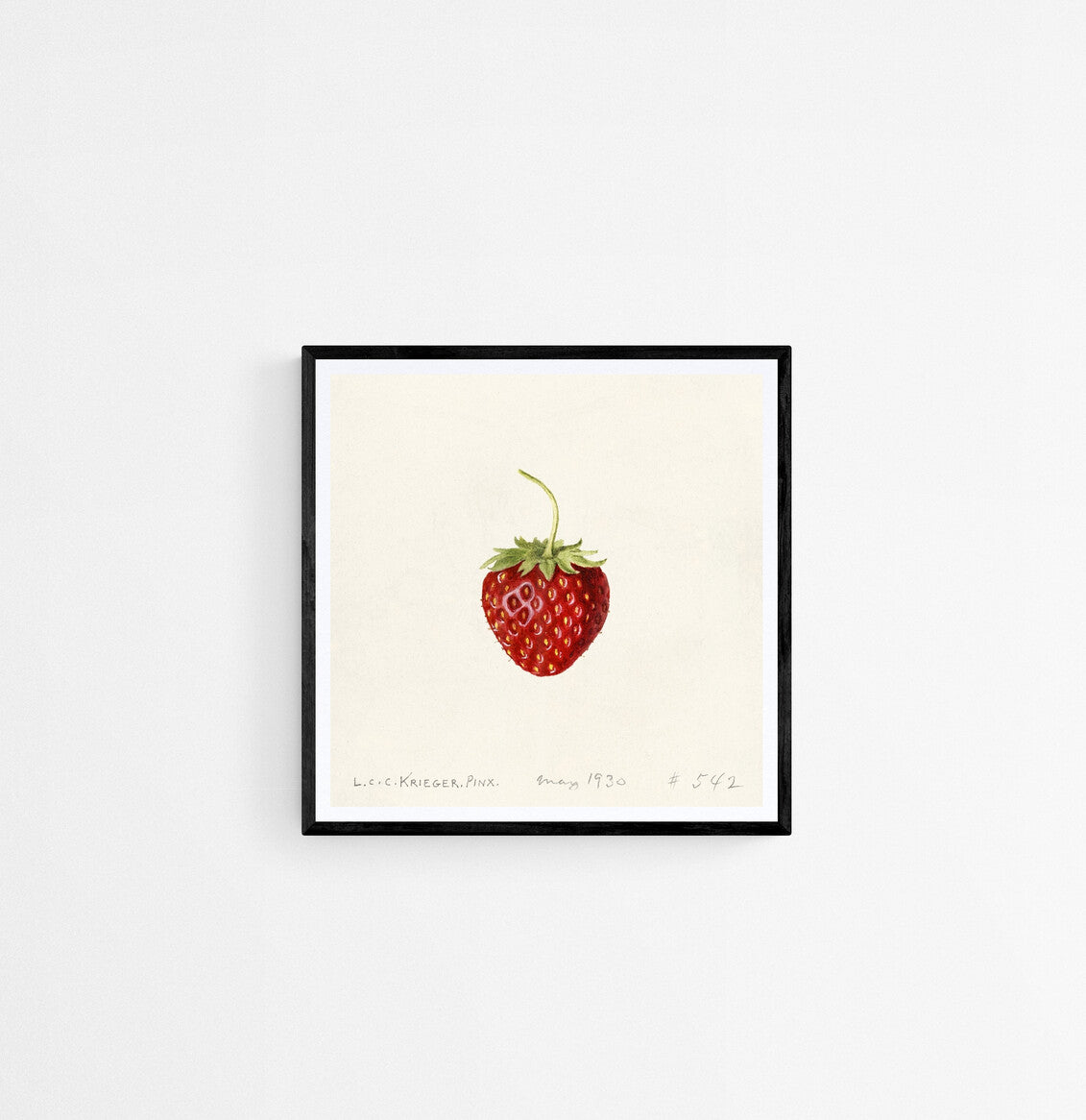 prints of food