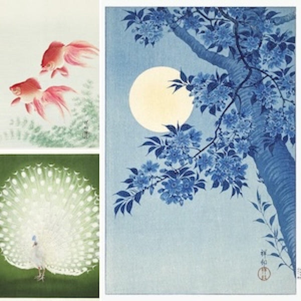 Ohara Koson Woodblock Prints: Bird & Flower Reproductions. Features exquisite Japanese woodblock art: two goldfish, an elegant white peacock, and a moonlit blossoming tree. 
