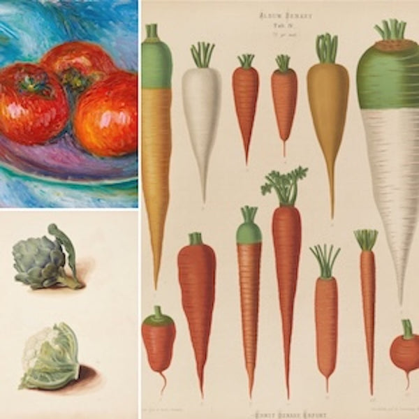 Vintage Botanical Vegetable Prints: 19th Century Illustrations. Features detailed botanical illustrations of carrots, radishes, tomatoes, an artichoke, and a cauliflower. 