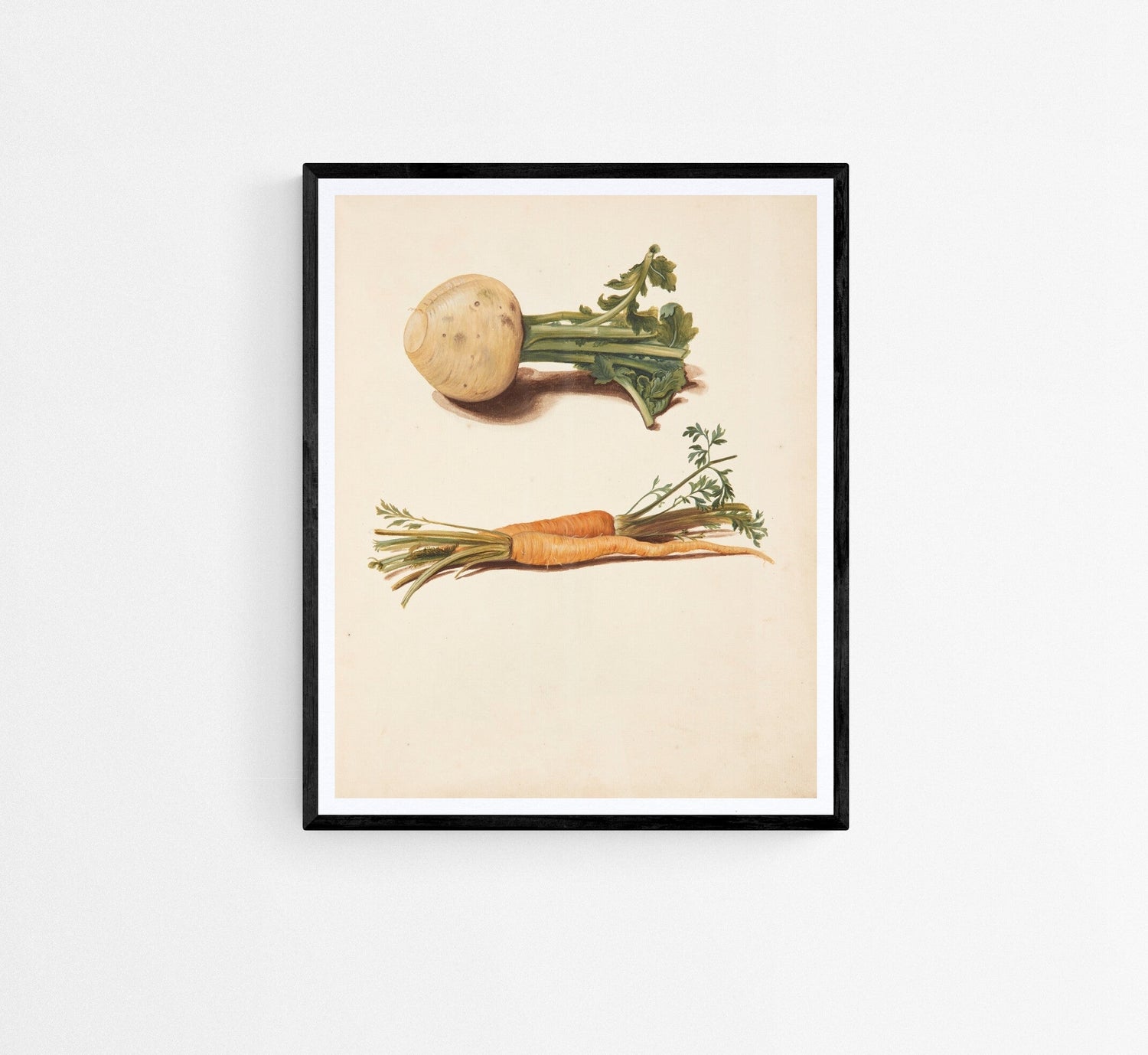 Vegetables vintage prints