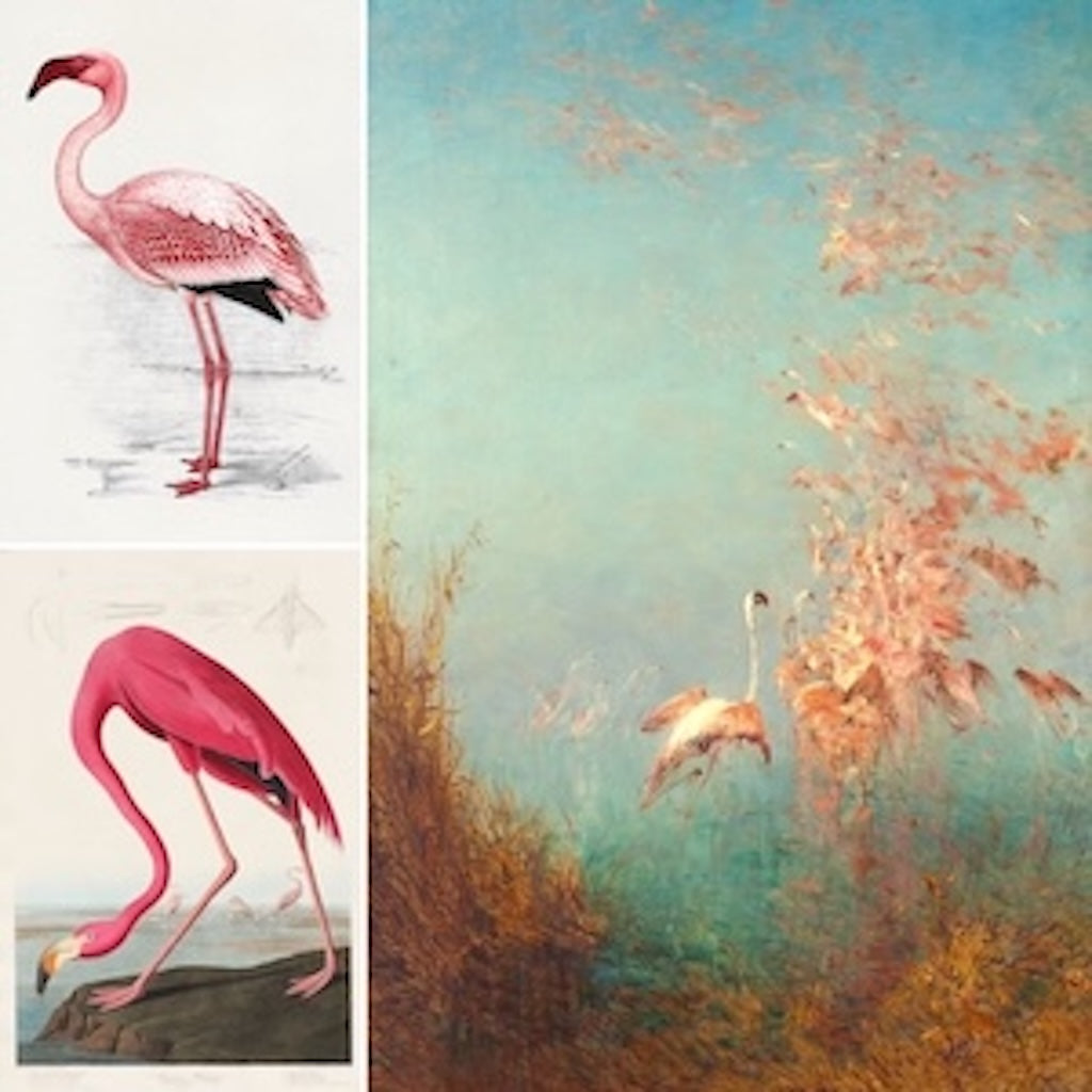 Three high-quality Vintage Flamingo Prints: Mid-Century Modern & Tropical Illustrations. Features detailed ornithological illustrations of pink flamingos and a vibrant painting of a flock in a natural setting. 