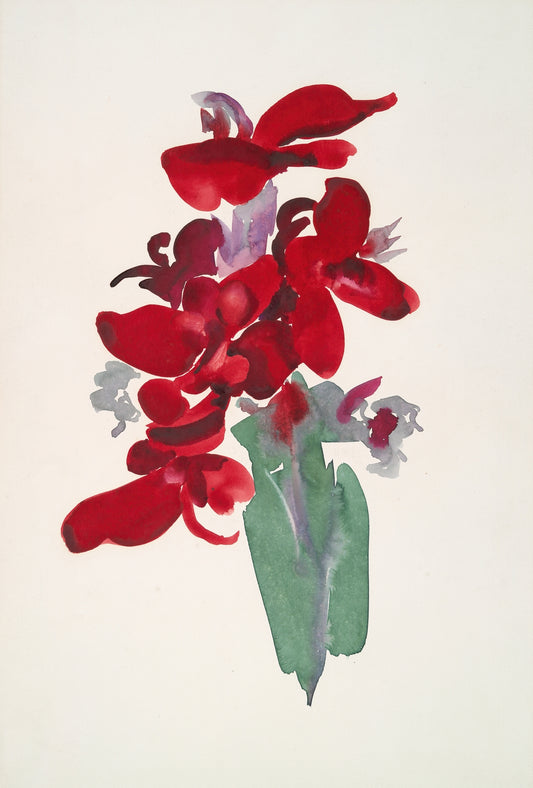 Red Canna flowers (1915) | Georgia O'Keeffe prints Posters, Prints, & Visual Artwork The Trumpet Shop Vintage Prints   