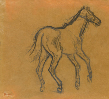 Horse study (1880s) | Edgar Degas artwork