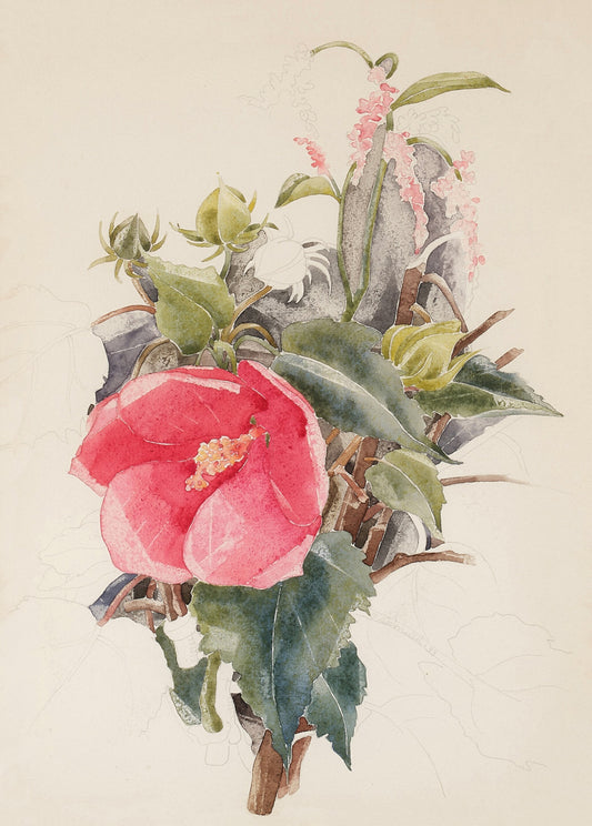 Rosa botánica de 100 pétalos (década de 1800) | Impresiones botánicas vintage | Pierre-Joseph Redouté