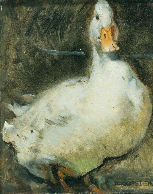 White Duck (1900s) | Vintage duck prints | Alexander Koester