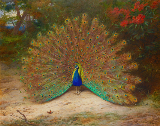 Peacock with butterfly (1900s) | Archibald Thorburn