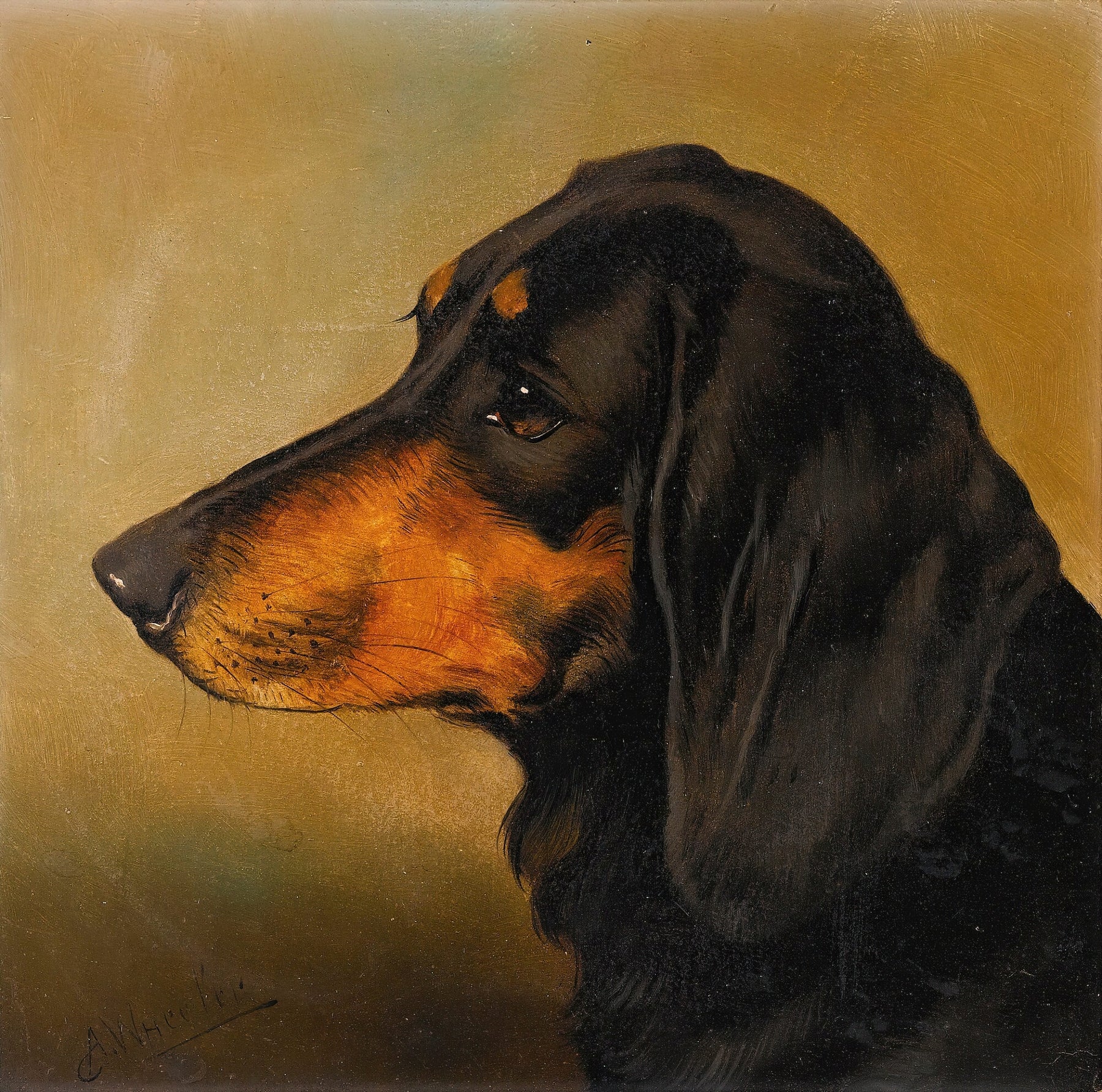 Dachshund (1800s) | Sausage dog artwork |  Alfred Wheeler