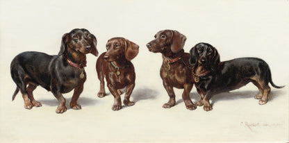 Four Dachshunds artwork (1900s) | Carl Reichert