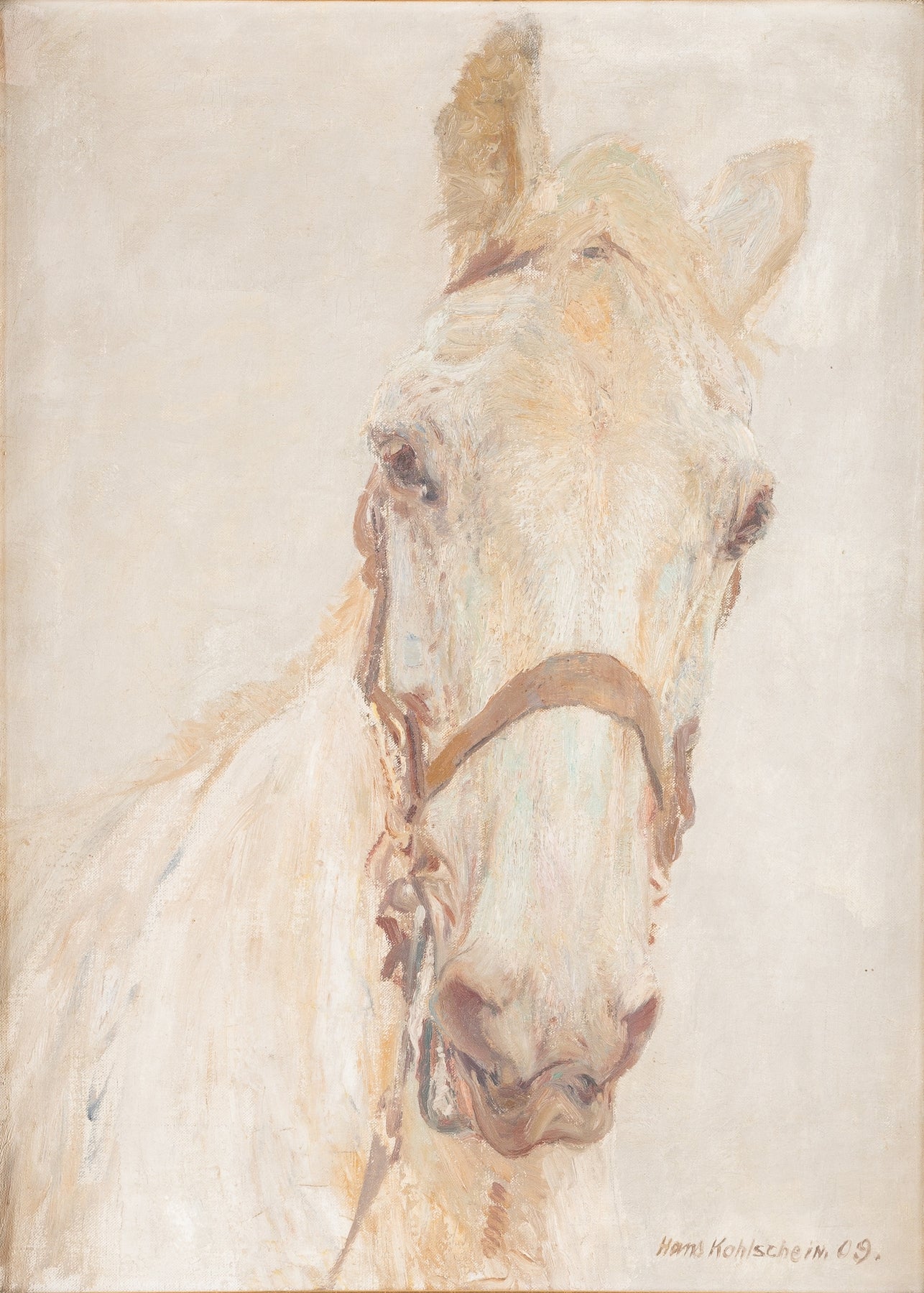 White horse (1909) | Hans Kohlschein