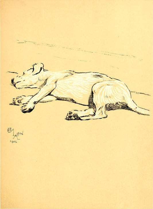 Sketch of a dog on a beige background