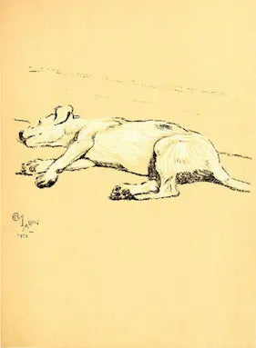 Sketch of a dog on a yellow background