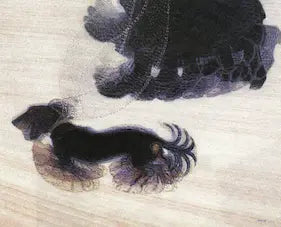 Dachshund dog running on a wooden floor