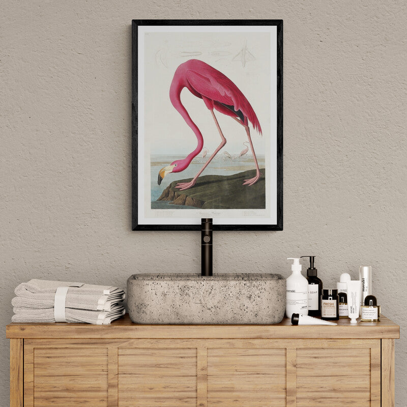 Flamingo artwork (1800s) | John James Audubon Posters, Prints, & Visual Artwork The Trumpet Shop   