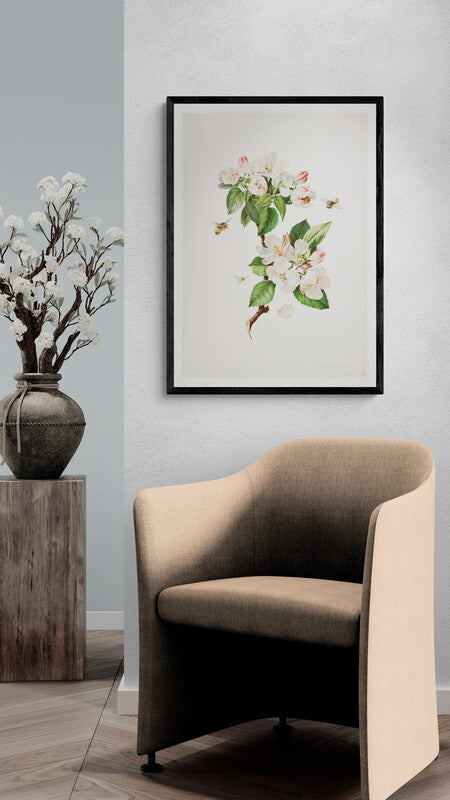 Apple blossom (1800s) | Framed botanical artwork Posters, Prints, & Visual Artwork The Trumpet Shop   