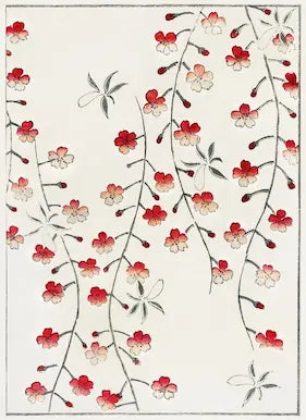 Decorative pattern of red and white flowers on a light background