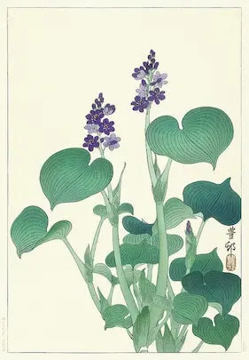 Illustration of green leaves and purple flowers on a light beige background