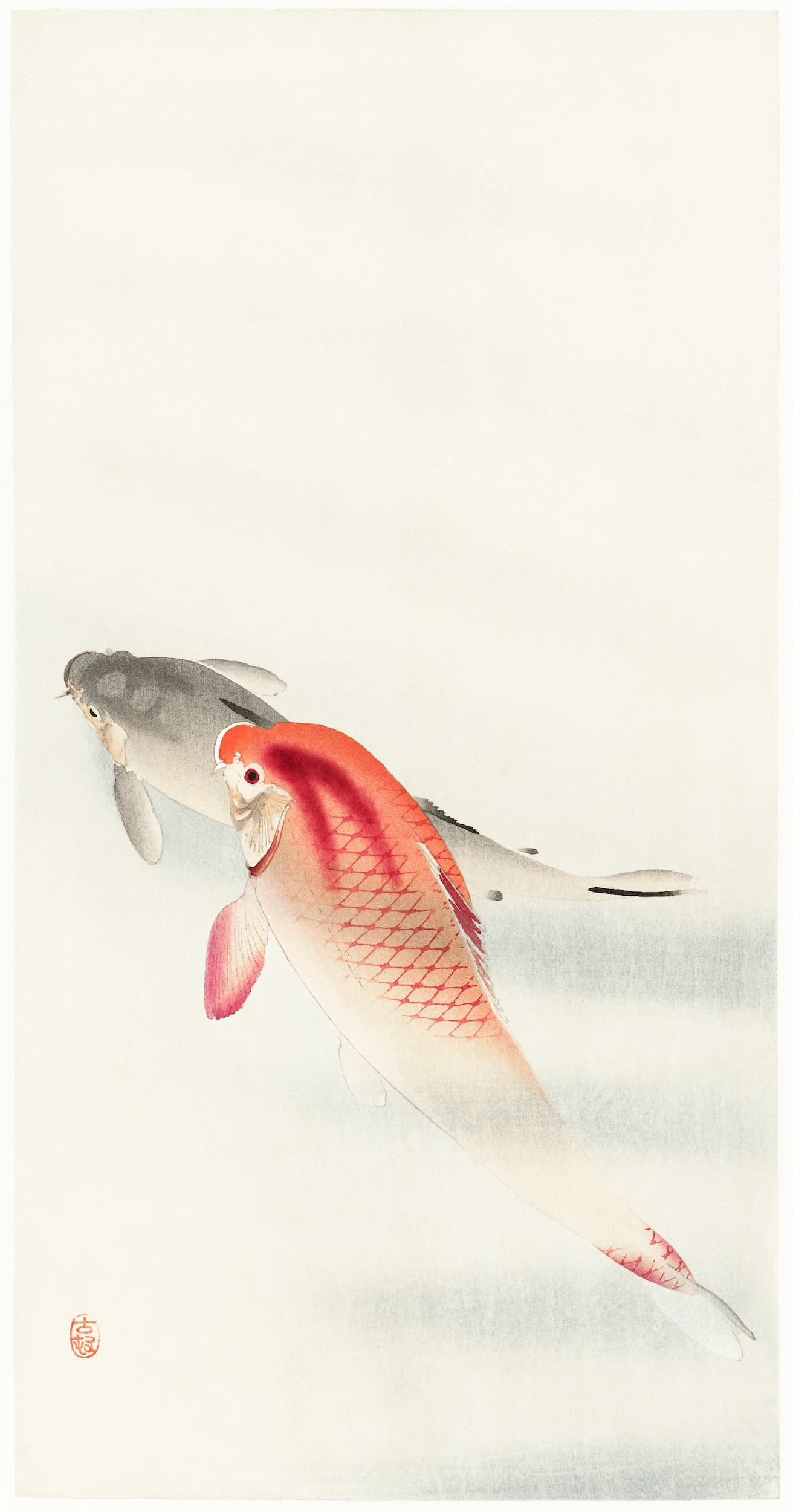 Artistic depiction of two fish on a light background