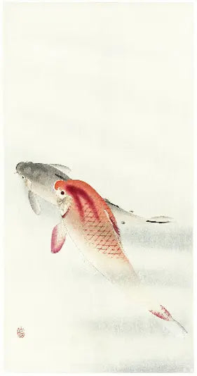 Artistic depiction of two fish on a white background