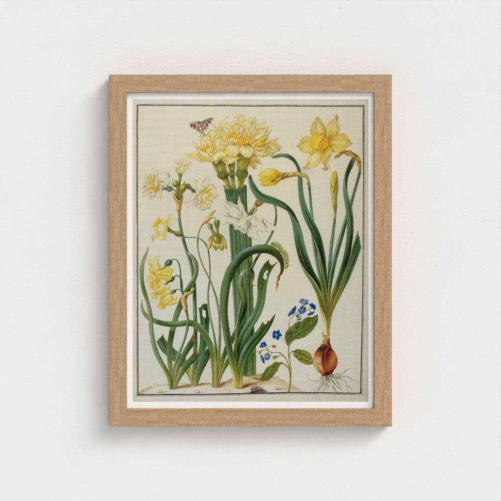Framed botanical illustration of flowers and plants on a white wall