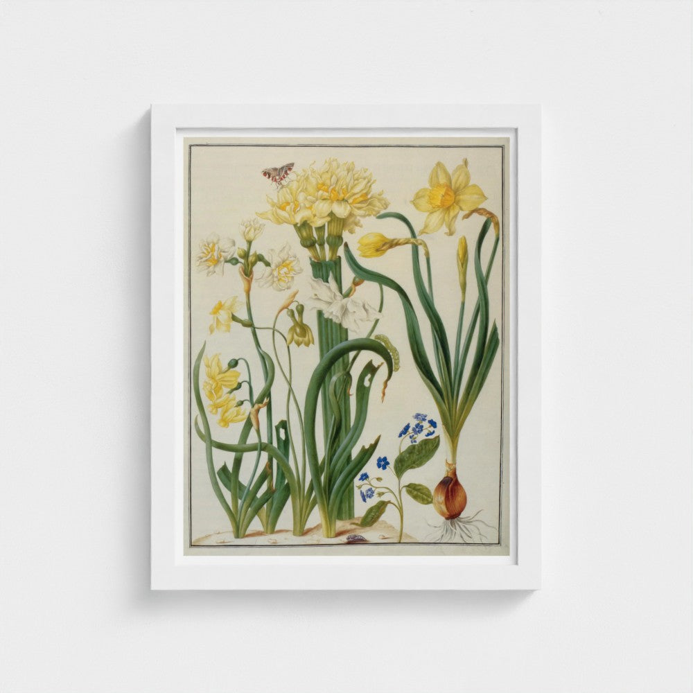 Framed botanical illustration of flowers and plants on a white background