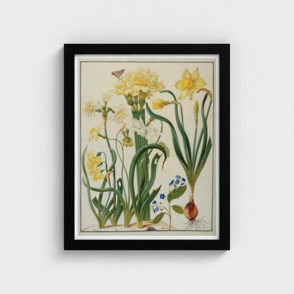 Framed botanical illustration of flowers and plants on a white wall